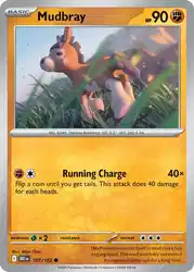 Mudbray 107/182<br/>Aliya Chen