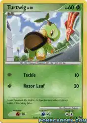 Turtwig 17/17<br/>Masakazu Fukuda