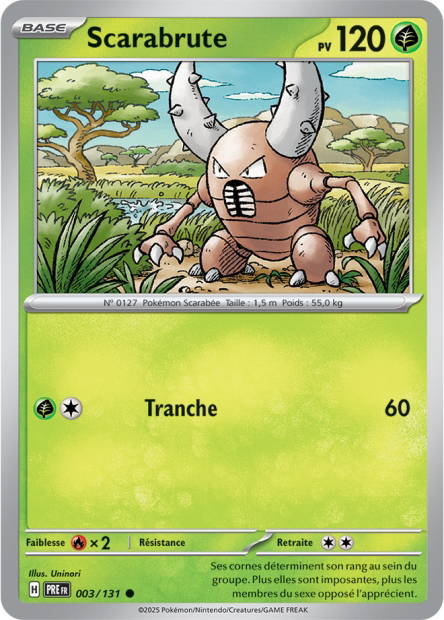 Scarabrute