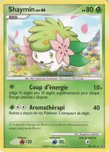 38 carte 38