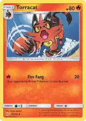 Torracat 28/214<br/>tetsuya koizumi