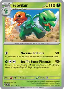 29 carte 29