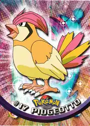 Pidgeotto 17/151<br/>Ken Sugimori