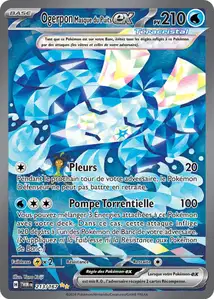 213 carte 213