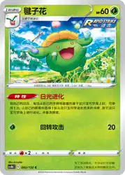 Skiploom 002/132<br/>TBD