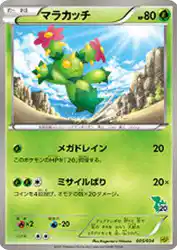 Maractus 005/034
