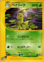Bayleef 007/029