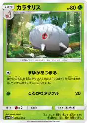 Silcoon 007/050