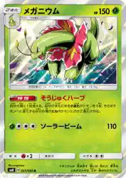 Meganium 005/095