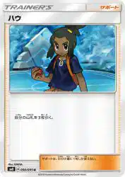 Hau 090/095