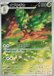 Sawsbuck 092/086