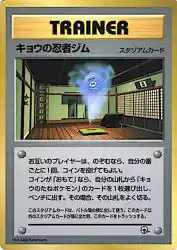 Koga's Ninja Gym —